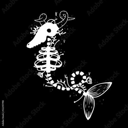 zodiac Aquarius signs halloween skull bones objects icons stars graphics black and white print