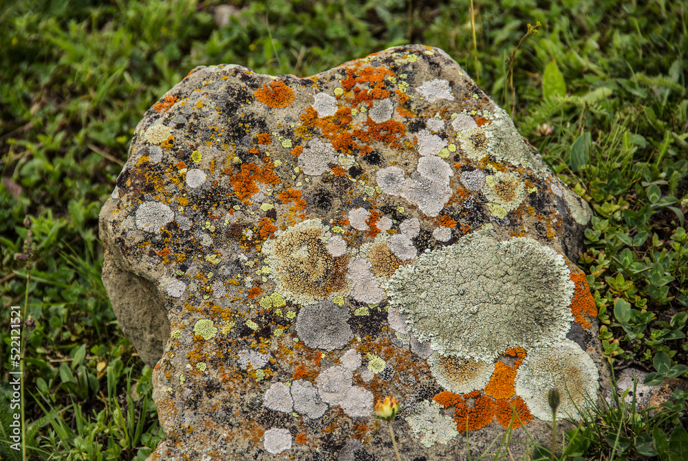 Old stone with colorful lichens. Beautiful natural texture