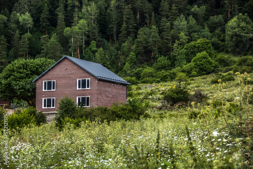 Obraz na płótnie Brick house on the background of coniferous forest. Guest House w salonie