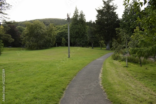 pavement through the meadow surrounded by forest