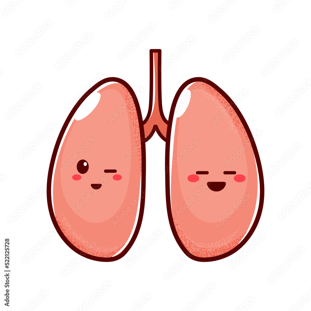 Happy smiling lungs funny cartoon character with face, blinking eye. Vector strong healthy human body organ, cute lungs kawaii personage Happy smiling lungs funny cartoon character with face, blinking eye. Vector strong healthy human body organ, cute lungs kawaii personage