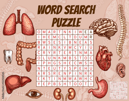 Human organs, body parts, word search puzzle game worksheet, vector quiz. Riddle game to search and find word in grid, human anatomy organs, heart, stomach and lungs, ear and eye with spine and tooth