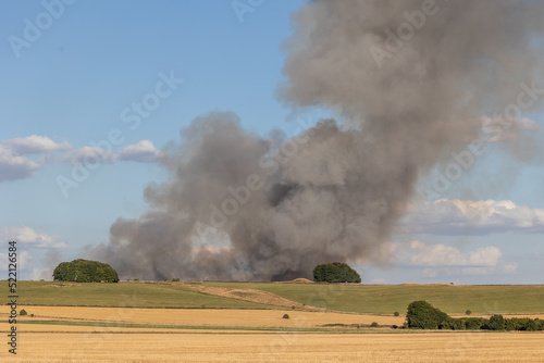 Wiltshire landscape Marlborough Downs. Crop fire behind ancient tree clumps