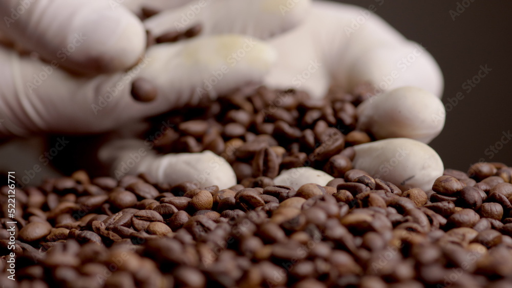 Fototapeta premium View roasted coffee grains on palm in white gloves close up. Hands holding seeds