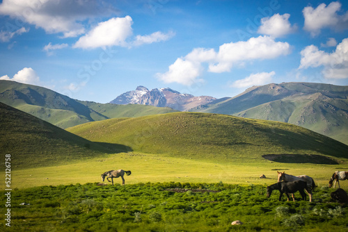 suussamyr valley in kyrgyzstan, mountain landscape, central asia, green valley, pasture © Andrea Aigner