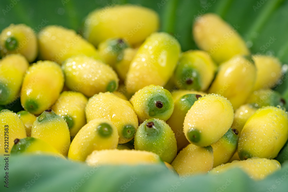 Fresh lotus seeds on a simple background Fresh lotus seeds on a simple background