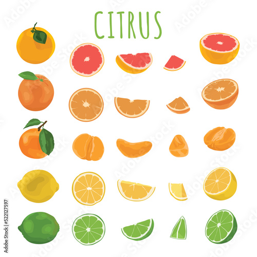 Different citrus fruits on white background