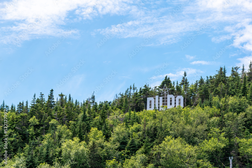 A sign marking the town of Dildo, Newfoundland is seen on a forested hill, mimicking the well-known Hollywood sign.