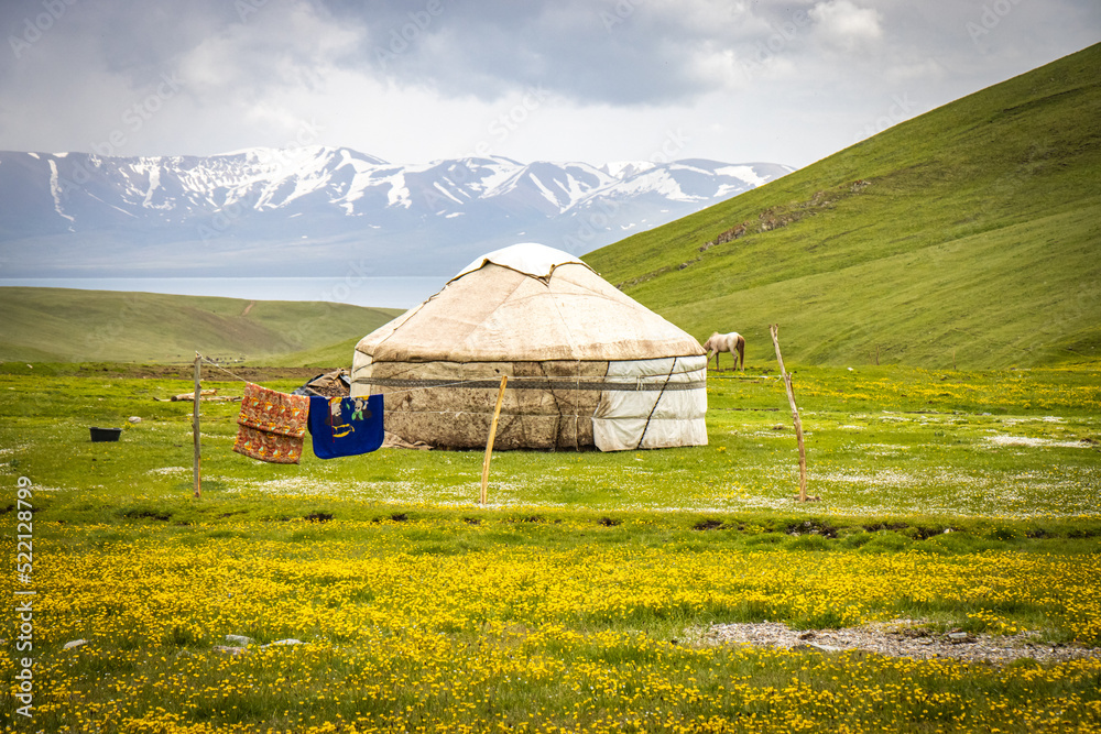 yurt near song-köl lake, kyrgyzstan, nomads, central asia