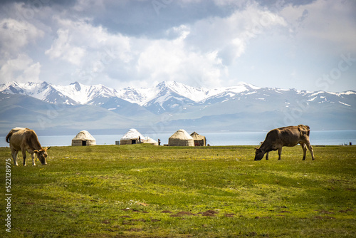 shore of song-köl lake, krygyzstan, central asia, mountains, high altitude   © Andrea Aigner