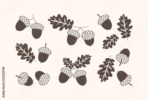 Acorn vector icon, oak nut, leaf and branch, Autumn or Christmas decoration set. Nature simple illustration