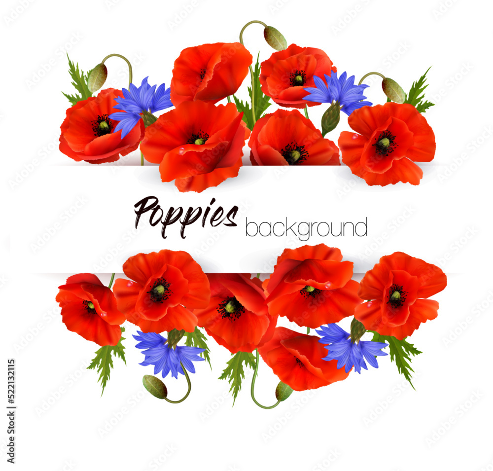 Natural greeting card with red poppies and blue cornflowers. Vector.