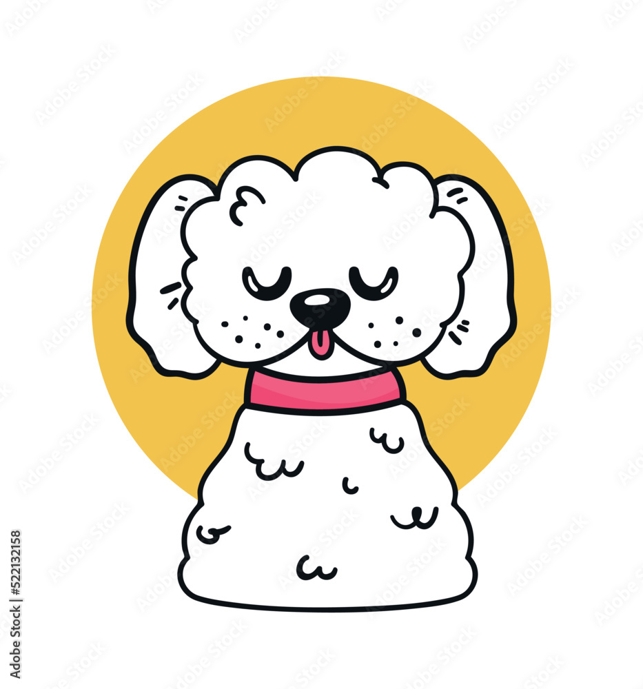 french poodle with necklace