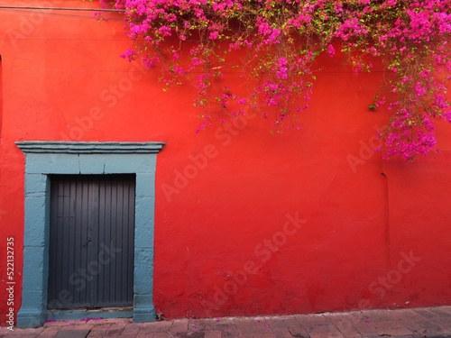 old mexican red wall with blue door with flowers of  Bougainvillea
