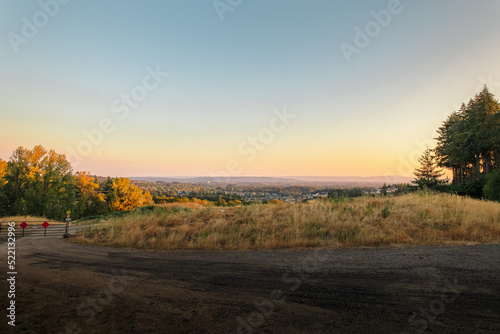 sunset in the forest