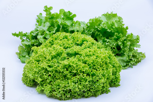 Lettuce of different kinds on a white background.