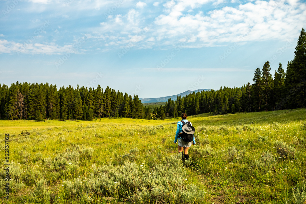 Woman Hikes through Yellowstone Wilderness Woman Hikes through Yellowstone Wilderness
