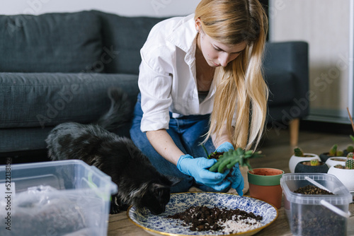 Girl examine exotic houseplant and working with it at home  photo