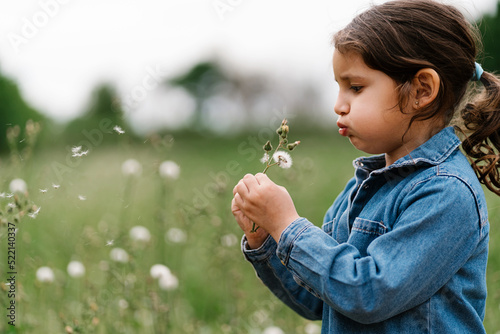 Cute child blowing off seeds from flower