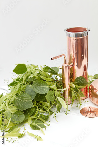 Distilling apparatus with linden leaves photo