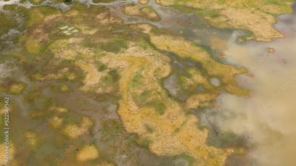 Aerial view of wetlands in Sri Lanka National Park. Flooded lands . Aerial view of wetlands in Sri Lanka National Park. Flooded lands .