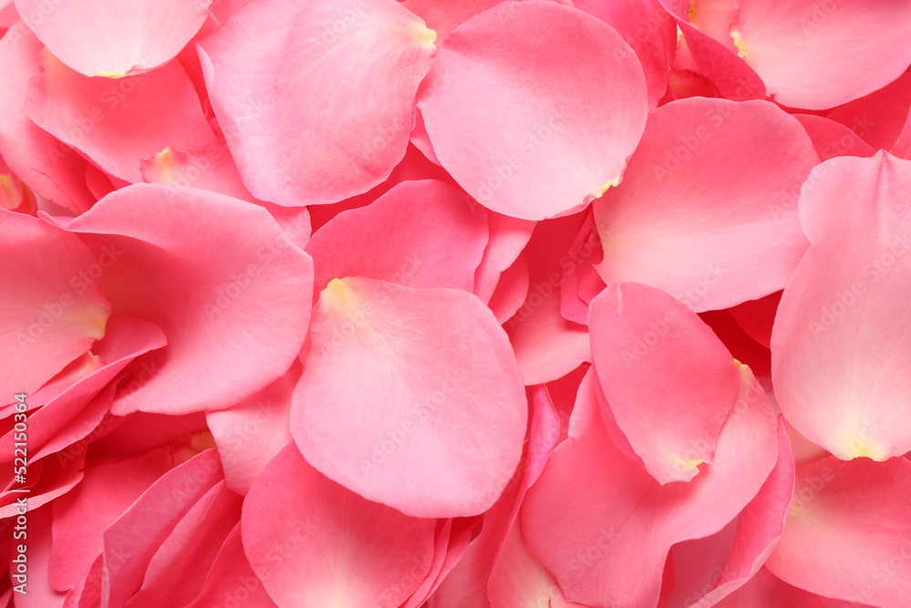 Naklejka premium Fresh pink rose petals as background, closeup
