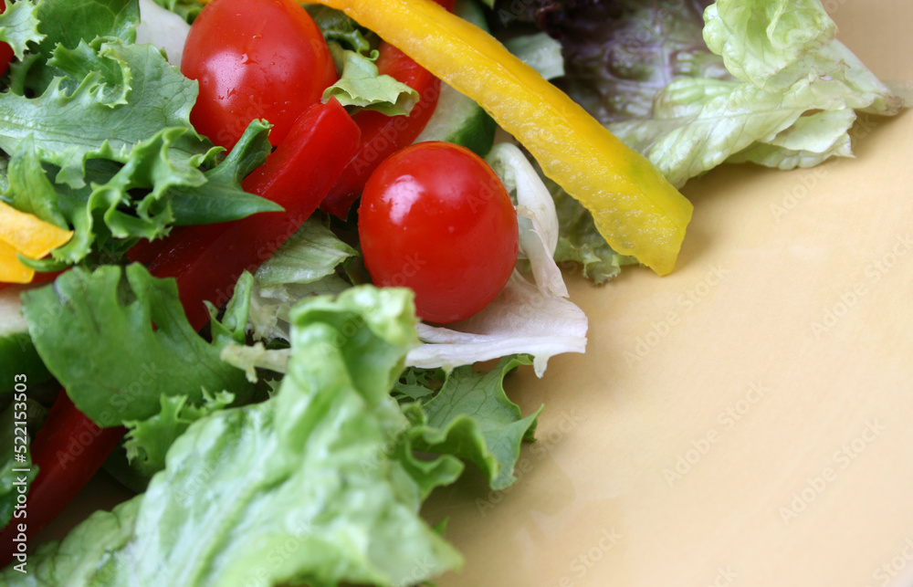 Fresh Salad Fresh Salad