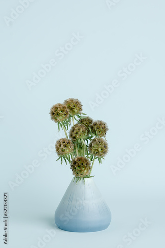 Tone on tone vase with scabiosa pods photo