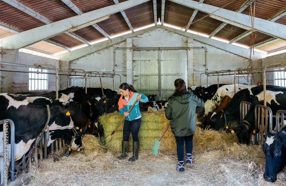 Young livestock farmers Young livestock farmers