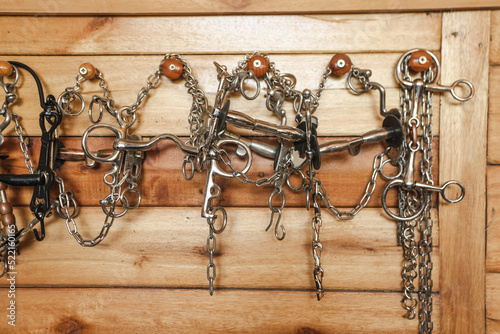 horse equipment