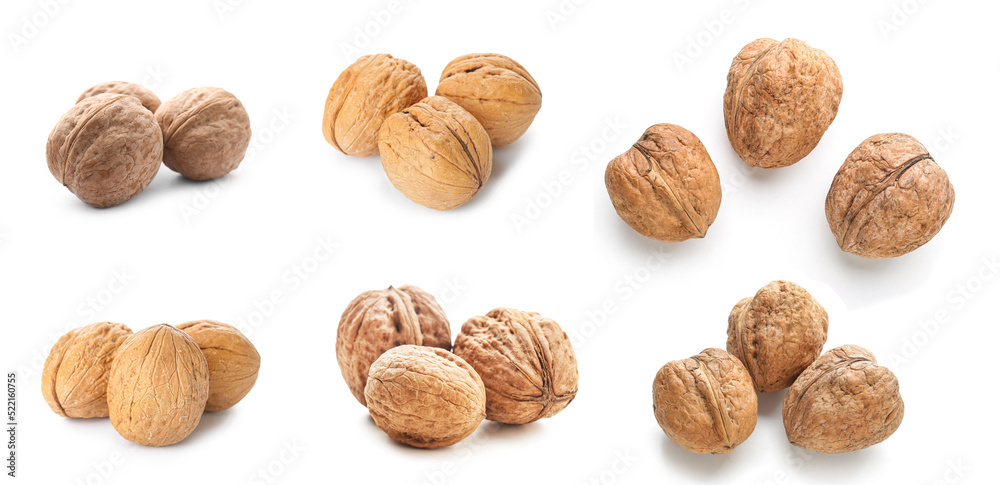 Set of tasty walnuts isolated on white Set of tasty walnuts isolated on white