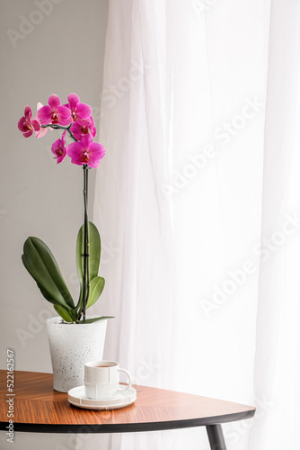 Beautiful orchid flower and cup of coffee on table