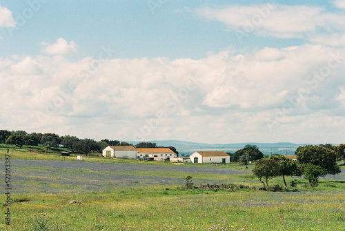 Rural landscape in spring