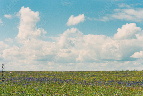 View of a spring meadow against a cloudy sky photo