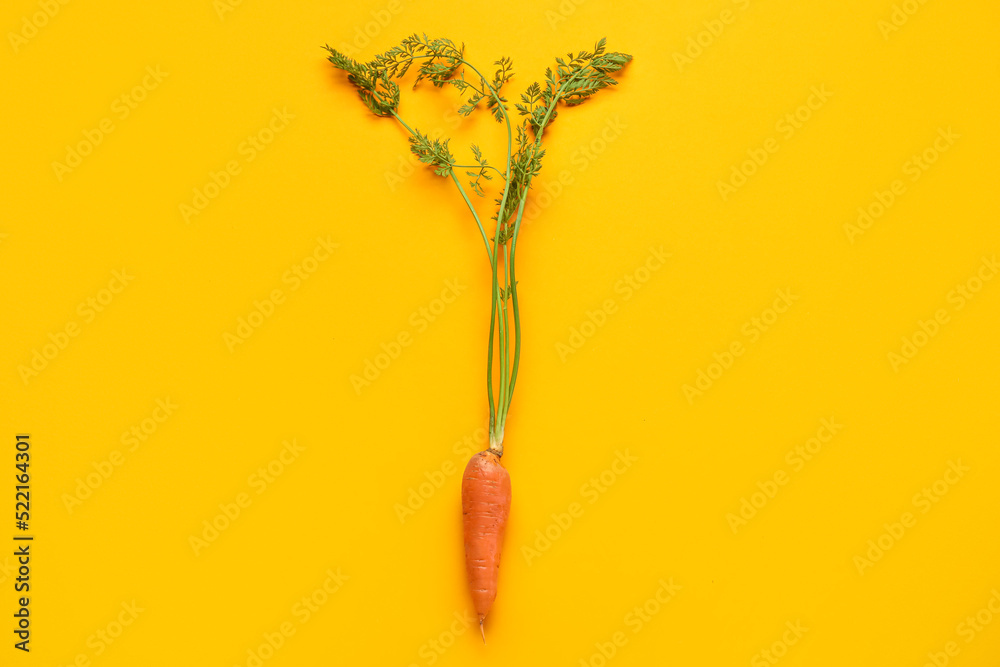 Fototapeta premium Fresh carrot with leaves on color background