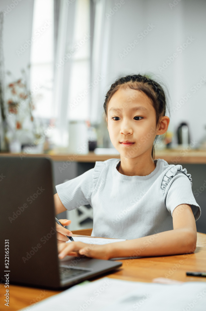 Schoolgirl studying with video online lesson at home Schoolgirl studying with video online lesson at home