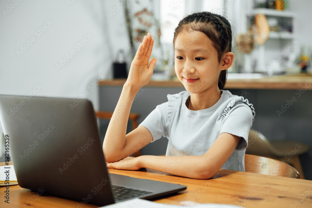 Schoolgirl studying with video online lesson at home Schoolgirl studying with video online lesson at home