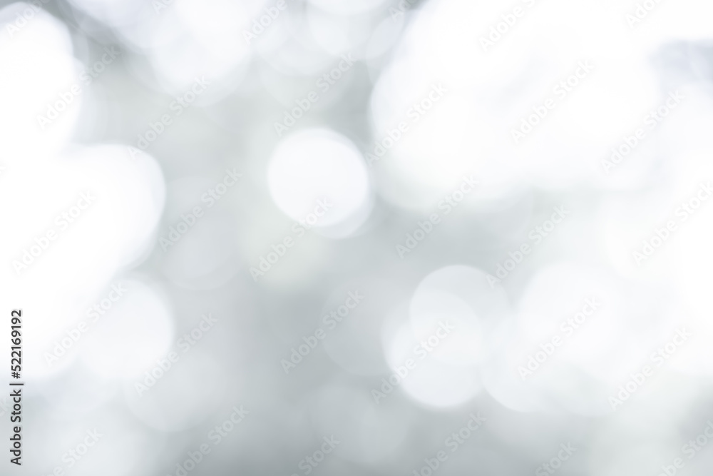 Obraz premium White blurred abstract background. grey abstract background. soft backdrop of nature abstract background. used for wallpaper or background