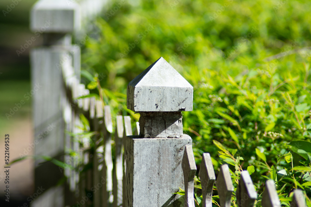 Naklejka premium white fence and grass in the garden 