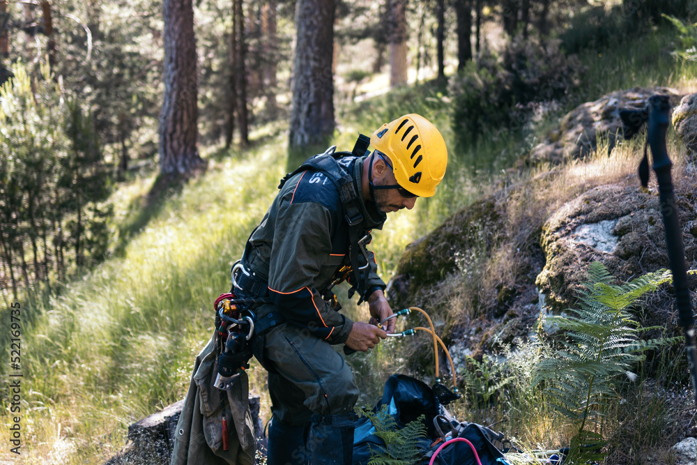 Rangers working in the forest Rangers working in the forest