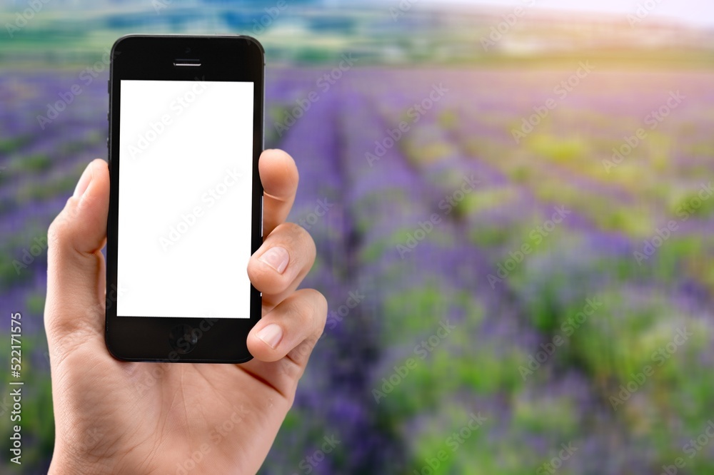 Farmer's holds a smartphone on a background of a field with a plantation. Scientific research.