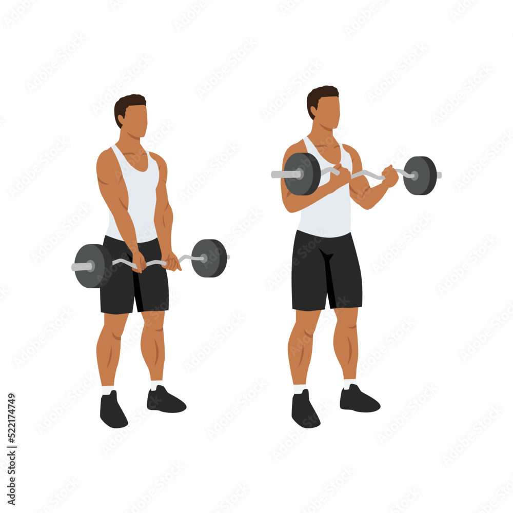 Obraz premium Man doing ez barbell curl. Flat vector illustration isolated on different layers. Workout character