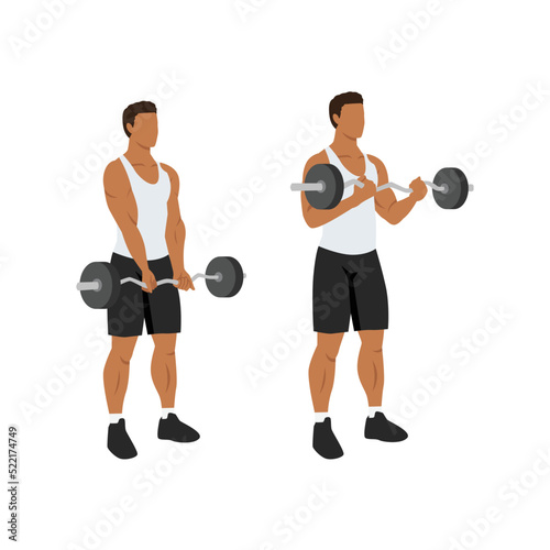 Man doing ez barbell curl. Flat vector illustration isolated on different layers. Workout character