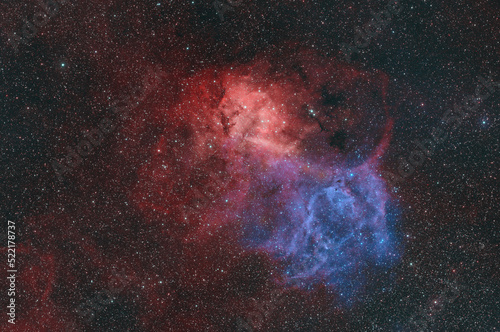 ライオン星雲～ケフェウス座
Lion Nebula (Sh2-132) in the constellation Cepheus.