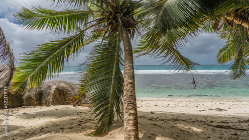 Fototapeta Naklejka Na Ścianę i Meble -  A palm tree leans over a secluded tropical beach. Green leaves against the sky, clouds, turquoise ocean. Picturesque boulders at the water's edge. Seychelles