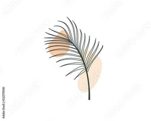 Aesthetic Palm Leaf. Plant Vector Design © Abdul