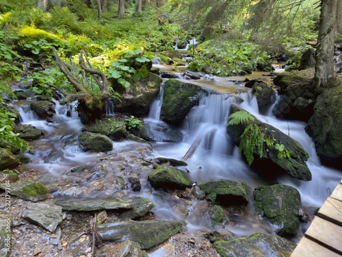 Waterfall in the forest