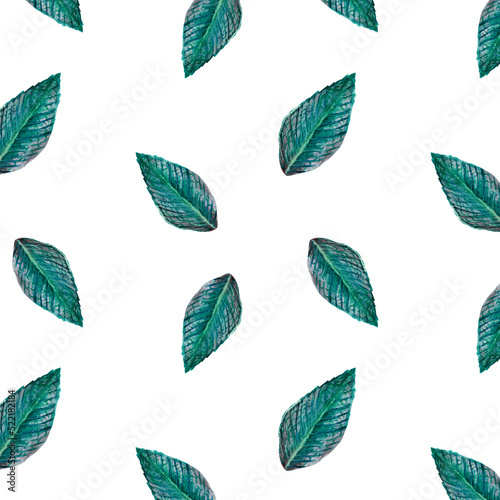 Watercolor pattern green blue leaf of house plant, on white background for your seamless design, hand drawn illustration