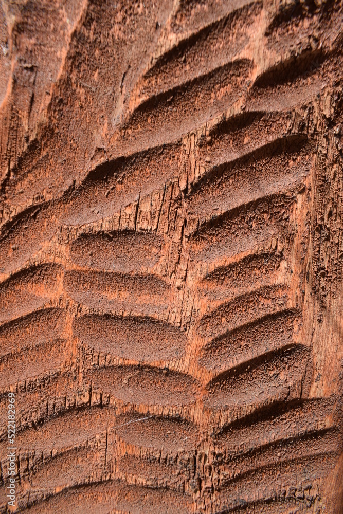 background with wood carving texture