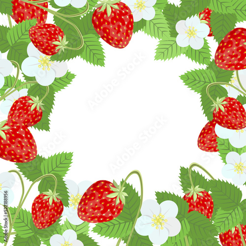 Strawberries with flowers and berries, in the form of a frame on a white background.Vector illustration.It can be used for postcards,restaurant menus,juice packs, jams,cosmetics.